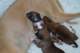 dsc_6273_small.jpg