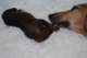 dsc_6274_small.jpg