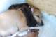 dsc_6276_small.jpg