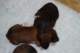 dsc_6277_small.jpg