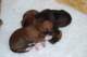 dsc_6278_small.jpg