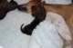 dsc_6280_small.jpg