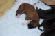 dsc_6282_small.jpg