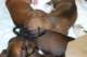 dsc_6285_small.jpg