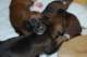 dsc_6286_small.jpg