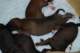 dsc_6287_small.jpg