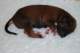 dsc_6289_small.jpg