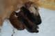 dsc_6290_small.jpg