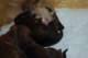 dsc_6291_small.jpg