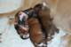dsc_6292_small.jpg