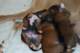dsc_6293_small.jpg