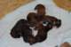 dsc_6294_small.jpg