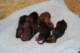 dsc_6298_small.jpg