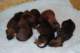 dsc_6299_small.jpg