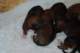 dsc_6300_small.jpg