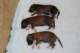 dsc_6301_small.jpg