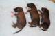 dsc_6302_small.jpg