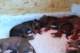dsc_6304_small.jpg