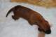 dsc_6305_small.jpg