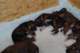 dsc_6307_small.jpg