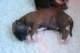dsc_6308_small.jpg