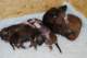 dsc_6310_small.jpg