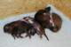 dsc_6311_small.jpg