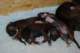 dsc_6313_small.jpg