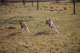 dsc_3767_small.jpg