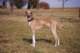 dsc_3770_small.jpg