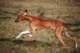 dsc_3775_small.jpg