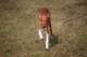 dsc_3780_small.jpg