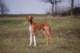 dsc_3782_small.jpg