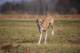 dsc_3785_small.jpg