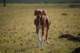 dsc_3789_small.jpg