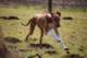 dsc_3802_small.jpg