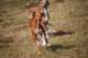 dsc_3805_small.jpg