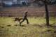 dsc_3806_small.jpg