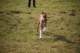 dsc_3809_small.jpg