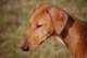 dsc_3810_small.jpg