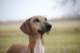 dsc_3811_small.jpg