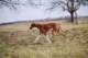 dsc_3823_small.jpg