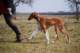dsc_3835_small.jpg