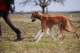 dsc_3836_small.jpg