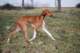 dsc_3844_small.jpg