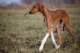 dsc_3849_small.jpg