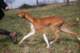 dsc_3851_small.jpg