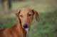 dsc_3881_small.jpg