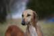 dsc_3882_small.jpg