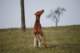 dsc_3887_small.jpg
